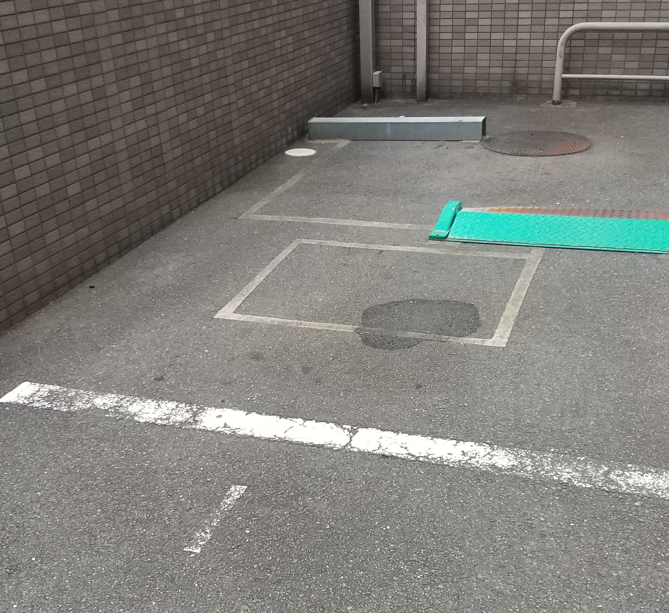 ループセンサー