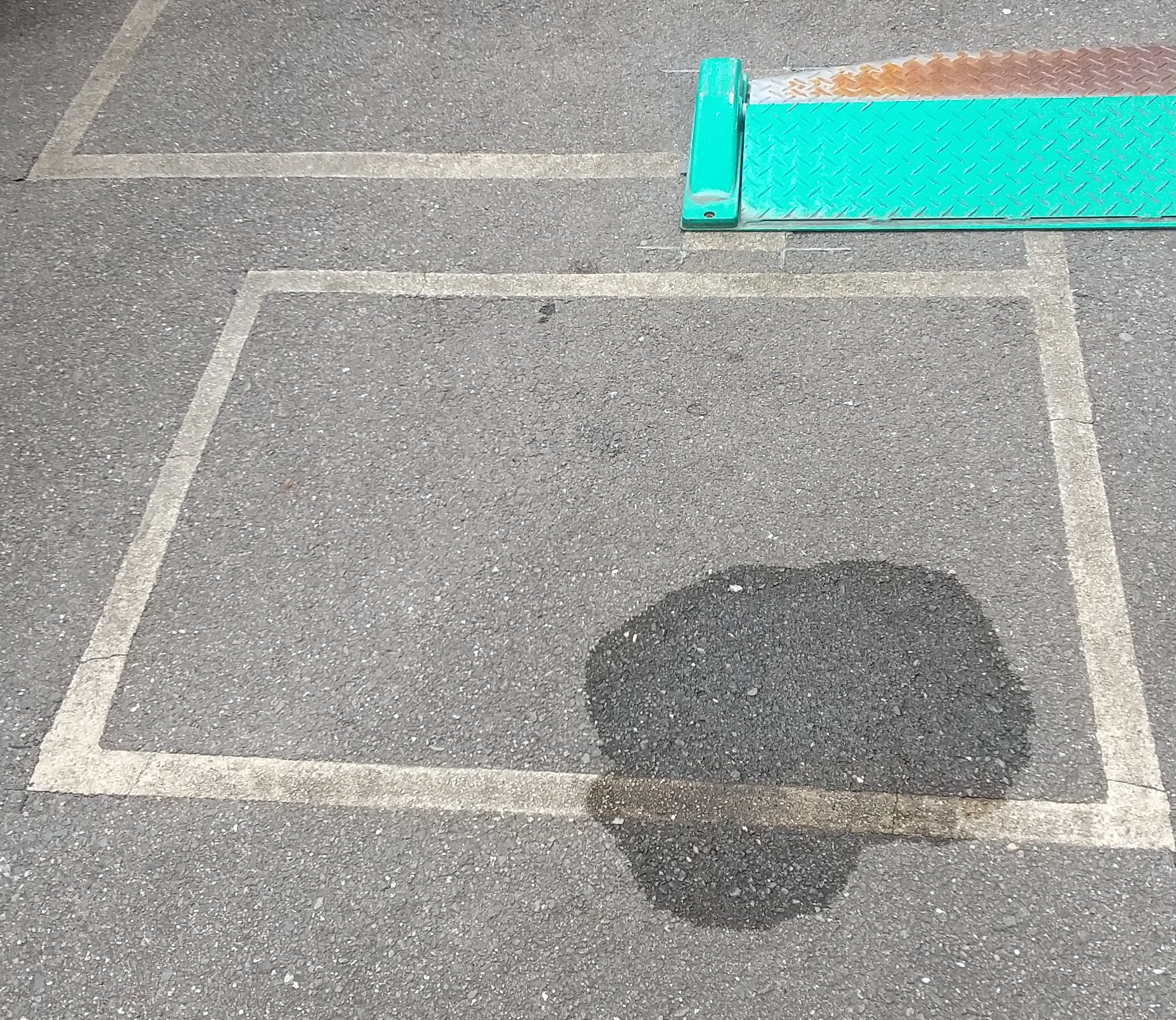 ループセンサー